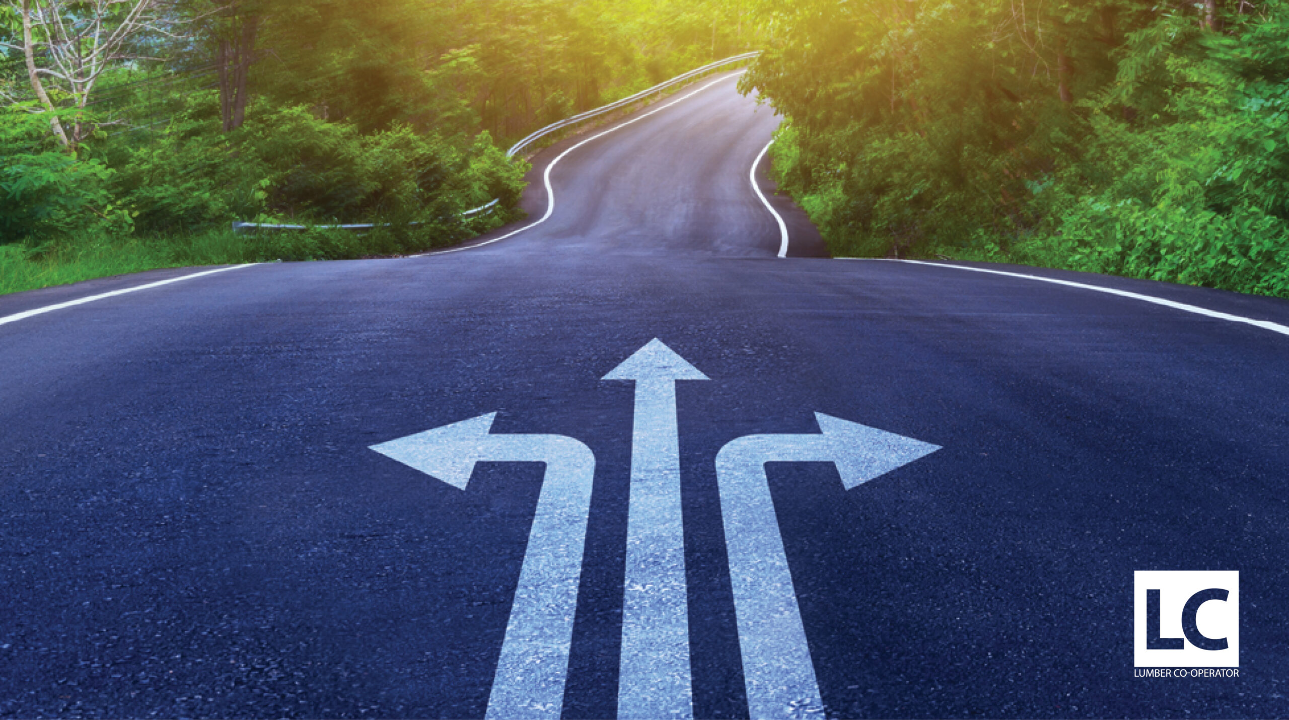 Three arrows on a road